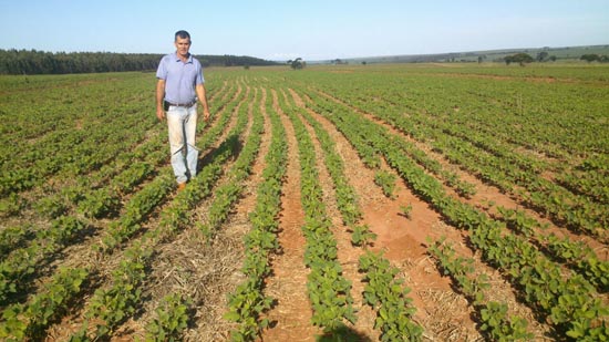 Produtores De Soja Aderem Tecnologia Intacta