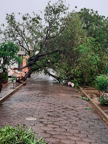 Cemitério de Echaporã