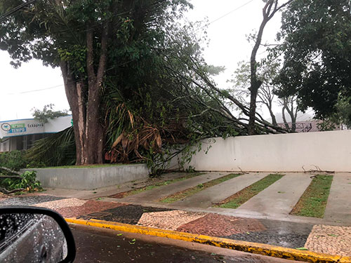 divulgação - Praça da Igreja Matriz de Echaporã