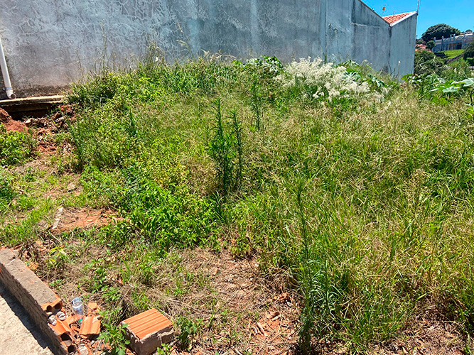 Reprodução/Rafaela Zanqueta - Segundo os moradores, no bairro há vários terrenos baldios com vegetação alta e muita sujeira, oriundas de descartes incorretos de lixo que são feitas no local - Foto: Reprodução/Rafaela Zanqueta