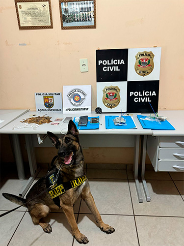 Divulgação/Polícia Civil - A K-9 Rayka com a droga e os objetos apreendidos - Foto: Divulgação/Polícia Civil