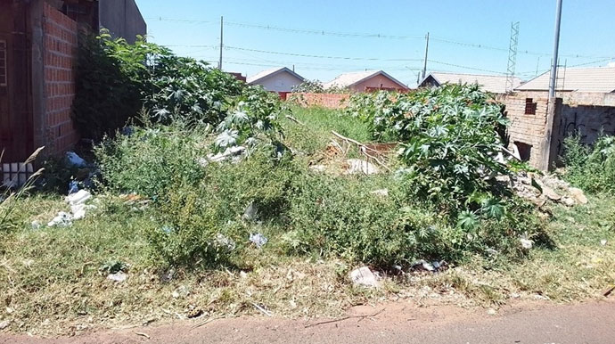 Reprodução/Departamento de Comunicação - Até o momento, mais de 700 notificações foram emitidas aos proprietários de terrenos particulares que não realizam a manutenção periódica de suas propriedades - Foto: Reprodução/Departamento de Comunicação