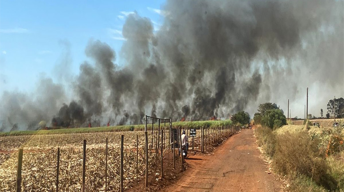 Redes Sociais/Reprodução - Canavial pega fogo em Cândido Mota e causa incêndio de grandes proporções - FOTO: Redes Sociais/Reprodução