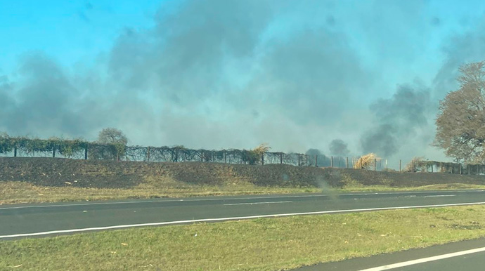 Portal AssisCity - Um incêndio em uma área de mata foi registrado no km 510 da Rodovia Raposo Tavares na tarde desta quinta-feira, 22 - Foto: Portal AssisCity