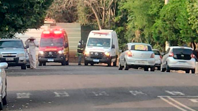 AssisCity - Enxame de abelhas atingiu moradores de Maracaí nas margens do Rio do Cervo - Foto: Divulgação