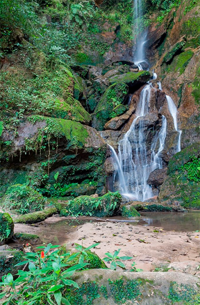 Divulgação - A Estância conta com várias cachoeiras e piscinas de água natural - Foto: Divulgação