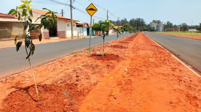 Reprodução/Departamento de Comunicação - A ação visa promover a arborização e seguir a proposta da atual gestão em criar pomares urbanos no município - Foto: Reprodução/Departamento de Comunicação