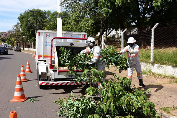 Energisa/Divulgação - Triturados utilizado durante o trabalho de poda - Foto: Energisa/Divulgação