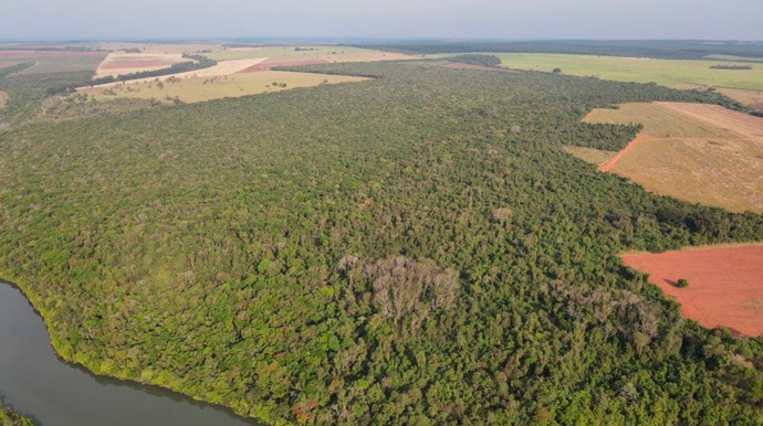 Divulgação - Crescimento irá fortalecer a preservação ambiental e biodiversidade no estado - Foto: Divulgação